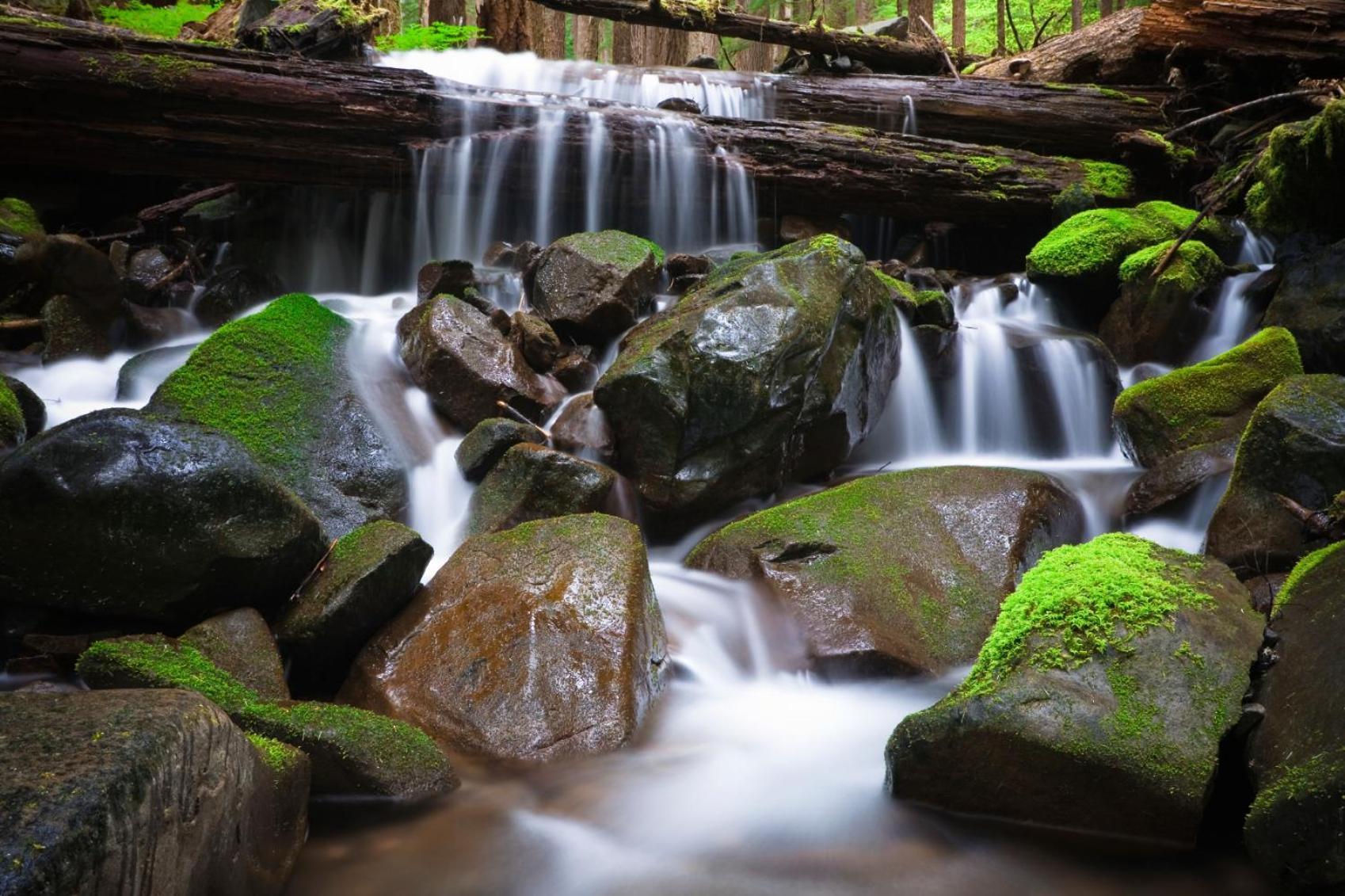 Sol Duc Hot Springs Resort Ovington Eksteriør bilde